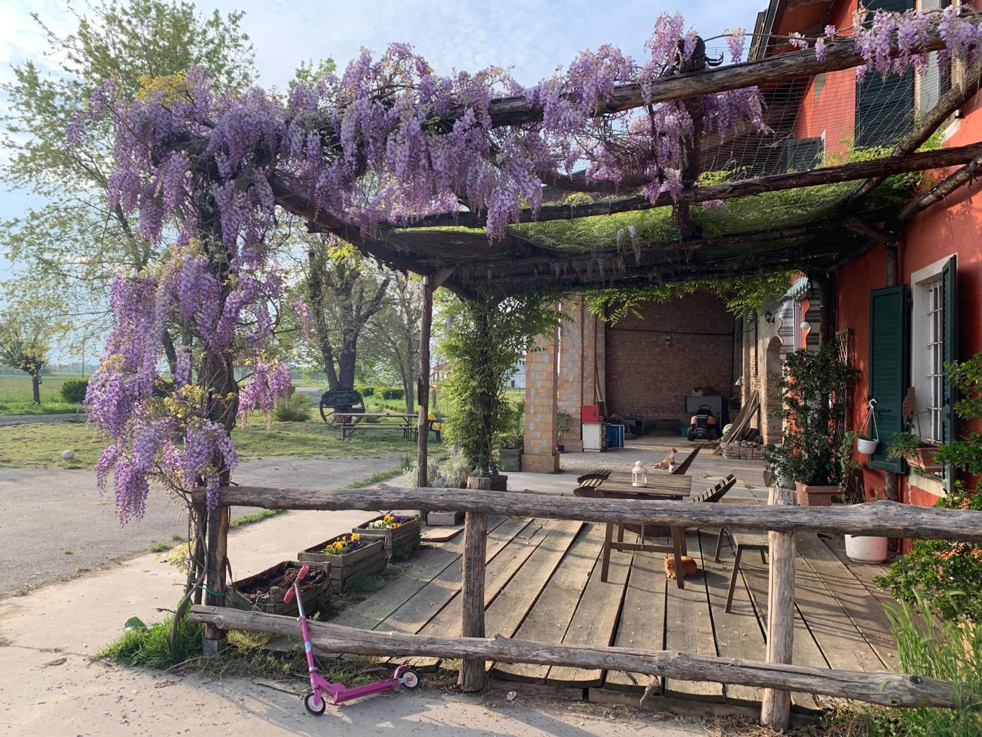 Fattoria Amelia Villa Santa Caterina  Exterior foto