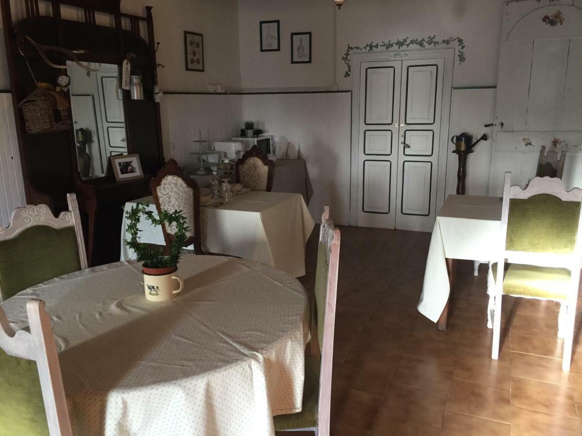 Fattoria Amelia Villa Santa Caterina  Exterior foto