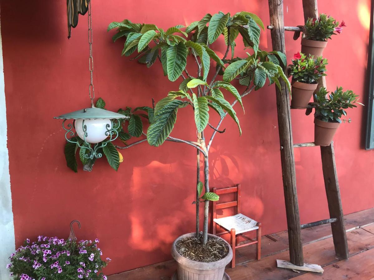 Fattoria Amelia Villa Santa Caterina  Exterior foto
